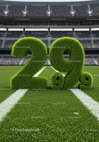 Green Grass Numbers Displayed on Football Field