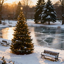 Christmas Tree with Lights by Frozen Park Pond at Sunset