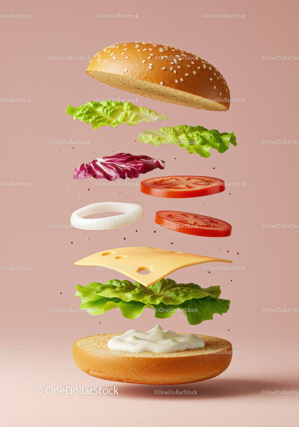 Floating Fresh Vegetable and Cheese Burger Ingredients
