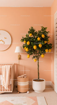 Lemon Tree in a Modern Nursery with Pastel Pink Walls