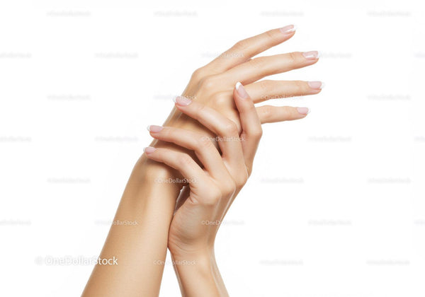 Elegant female hands with French manicure on white background