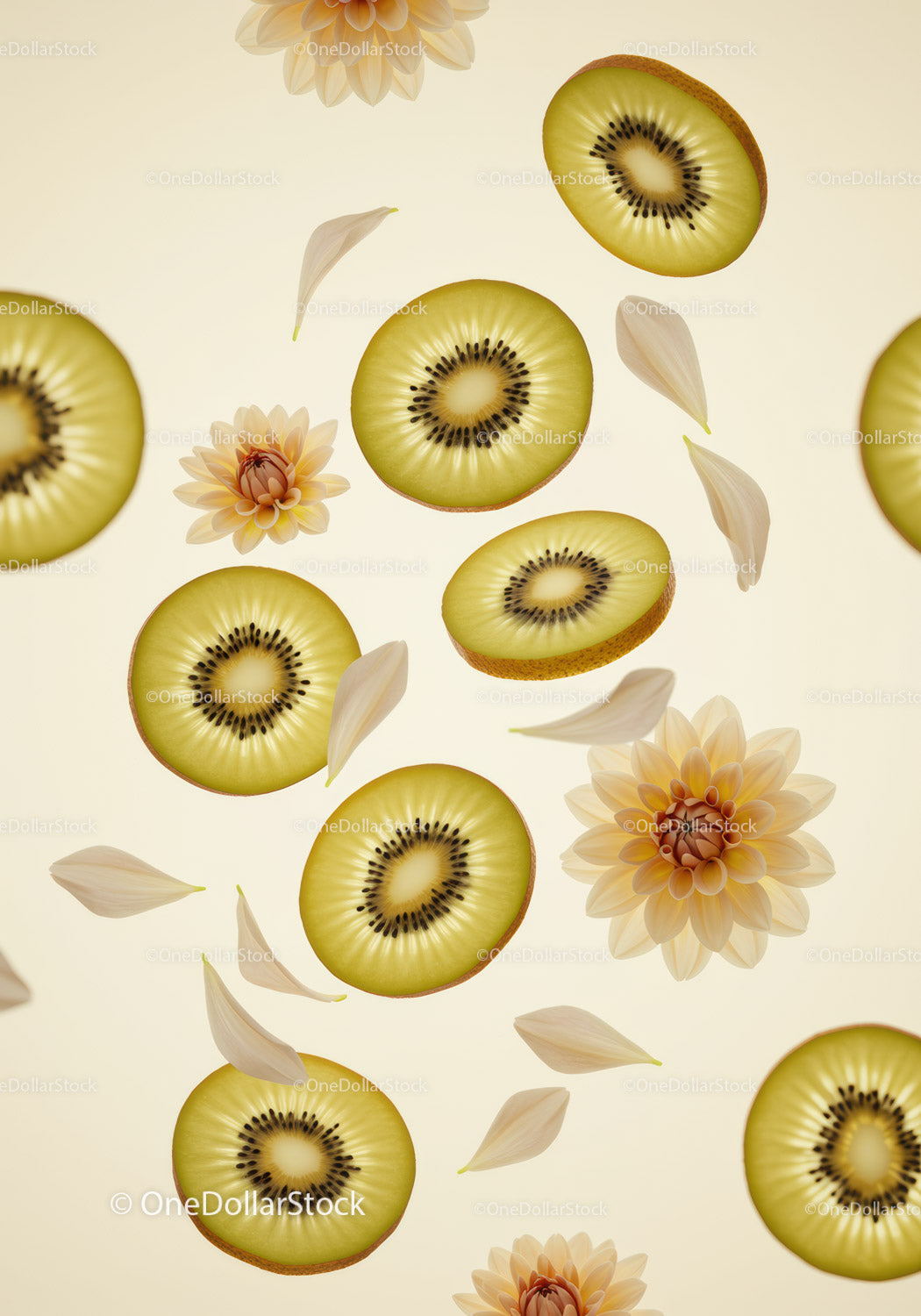 Fresh Kiwi Slices and Delicate Flower Petals Floating