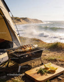 Grilled whole fish cooking on a portable BBQ by the sea