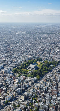 Aerial View of Tokyo Cityscape with Dense Urban Buildings and Green Park