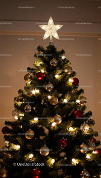 Christmas tree decorated with star and glowing lights