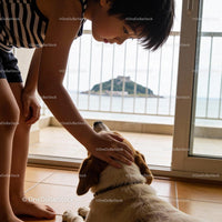 Young Boy Gently Petting Dog by Ocean View Balcony