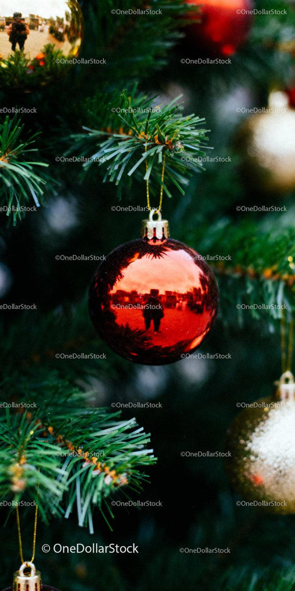 Close-up of Red Christmas Ornament on Pine Tree