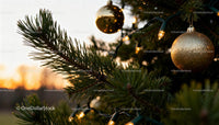 Closeup of Christmas tree branch with golden baubles