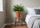 Green Fern in Terracotta Pot on Wooden Stand Next to Bedroom Bed