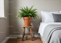 Green Fern in Terracotta Pot on Wooden Stand Next to Bedroom Bed