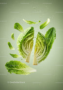 Fresh romaine lettuce halves with floating leaves