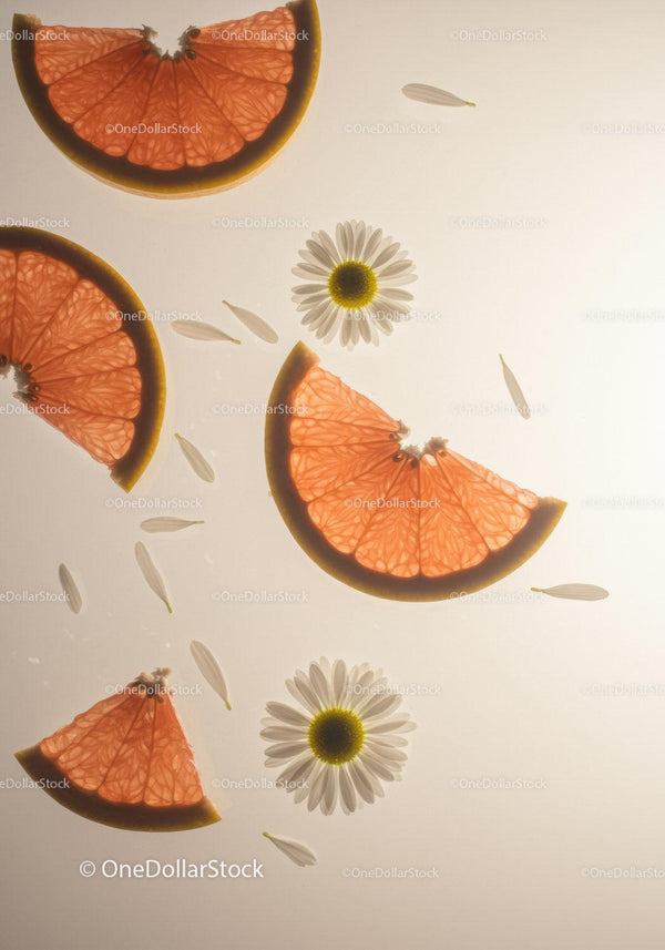 Fresh grapefruit slices with chamomile flowers on light background