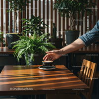 Hand Holding Coffee Cup in a Cozy Cafe Surrounded by Plants