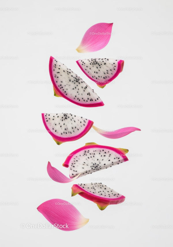 Fresh dragon fruit slices with pink petals on white