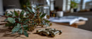Herbal Eucalyptus Capsules with Fresh Eucalyptus Branch on Wooden Surface