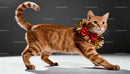 Ginger cat walking with festive red bow and tinsel collar