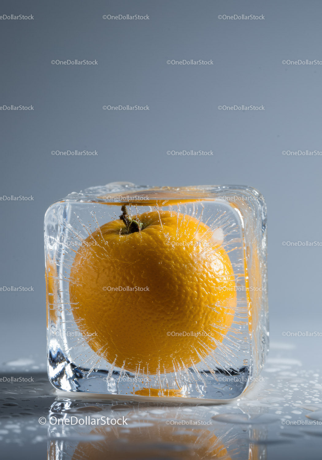 Fresh Orange Frozen Inside Clear Ice Cube