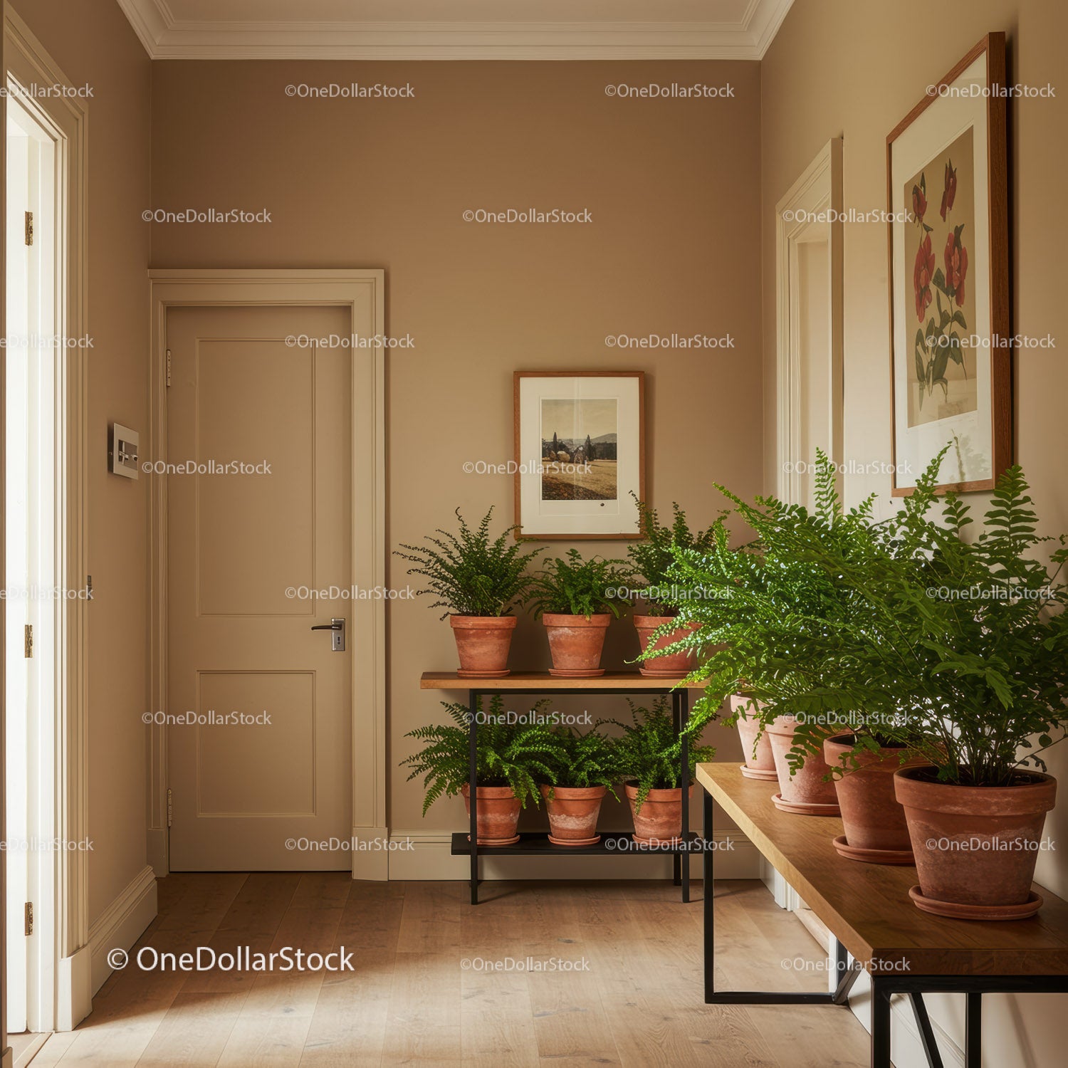 Green Ferns and Houseplants in a Cozy Interior with Wooden Tables