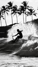 Surfer carving wave with palm trees in background