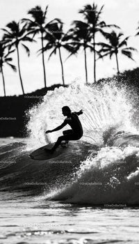 Surfer carving wave with palm trees in background