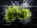 Fresh Green Lettuce Leaves Splashing Water in Black Background