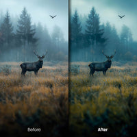 outdoor photography edit with Forest Glow Lightroom presets