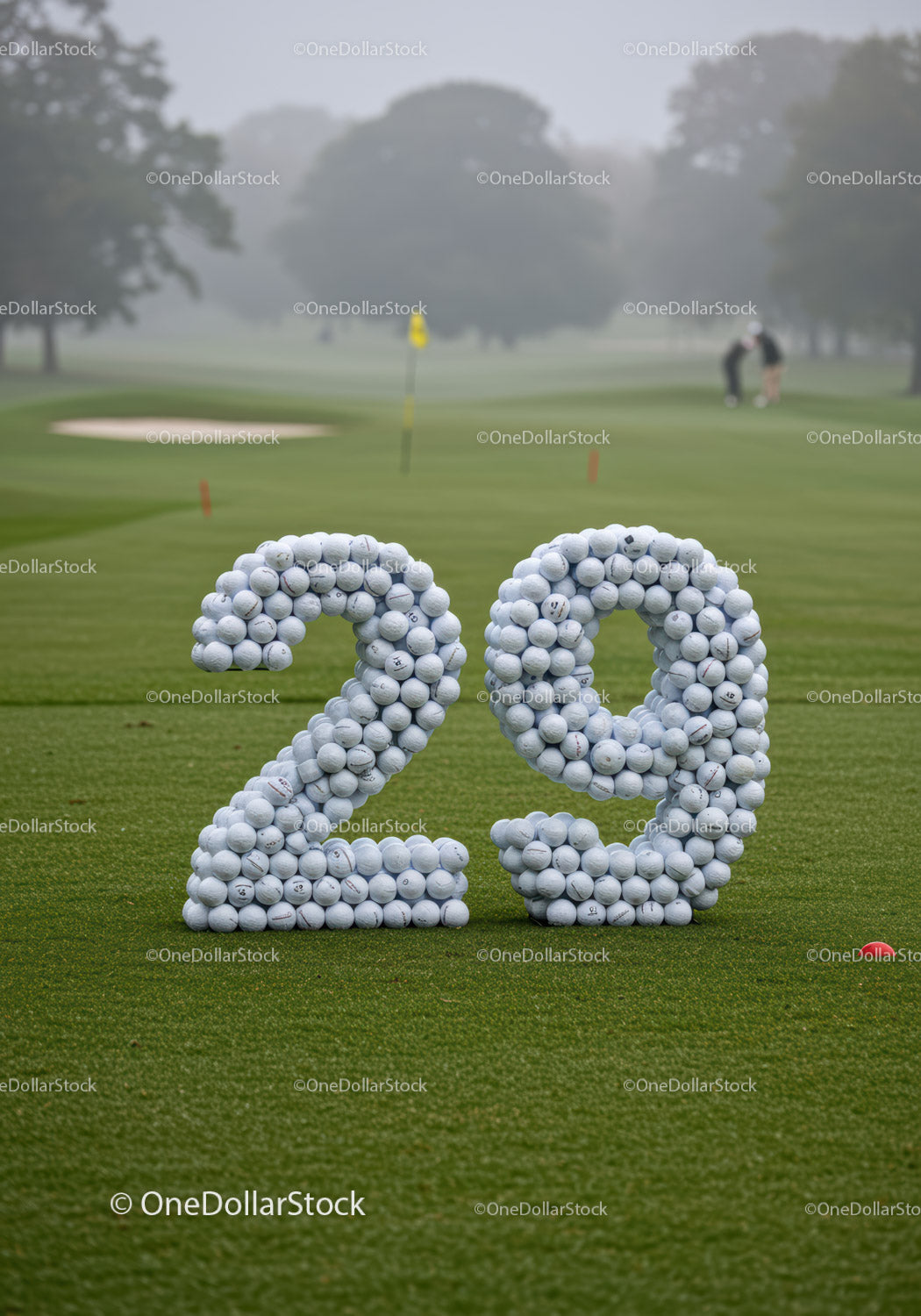 Number Twenty Nine Made of Golf Balls on Green Field
