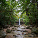 Lush Tropical Rainforest with Waterfall and River Scene