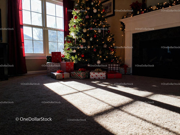 Sunlit cozy living room with Christmas tree and gifts