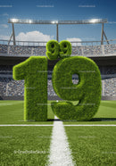 Grass-covered 19th Birthday Number in Sports Stadium