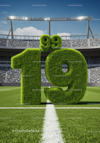 Grass-covered 19th Birthday Number in Sports Stadium