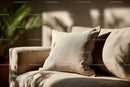 Beige Sofa with Cushions in Modern Cozy Living Room