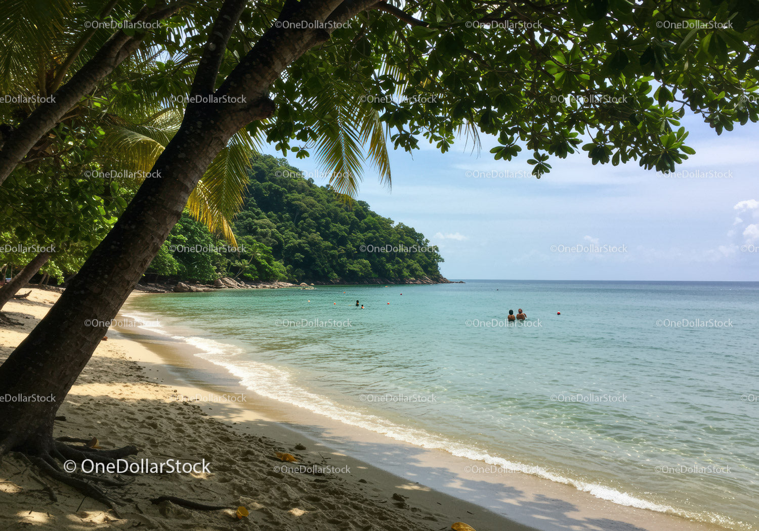 Tropical Beach with Palm Trees and Clear Water Under Blue Sky
