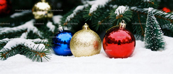 Colorful Christmas Baubles Resting on Fresh Snow