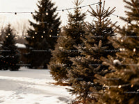 Snowy Christmas tree farm with warm string lights