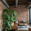 Modern Loft Interior with Large Monstera Plant and Leather Sofa