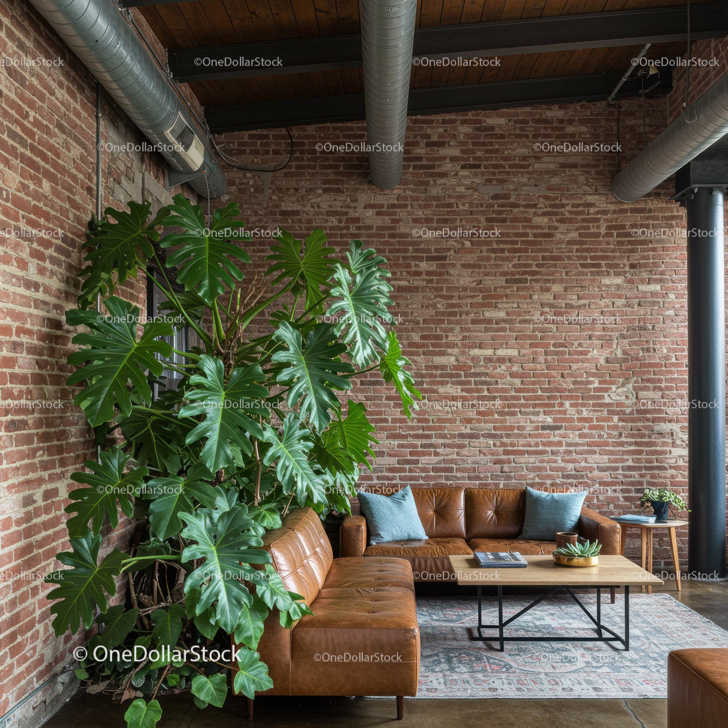 Modern Loft Interior with Large Monstera Plant and Leather Sofa