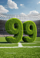 Grass-Covered Number Ninety Nine on Soccer Field