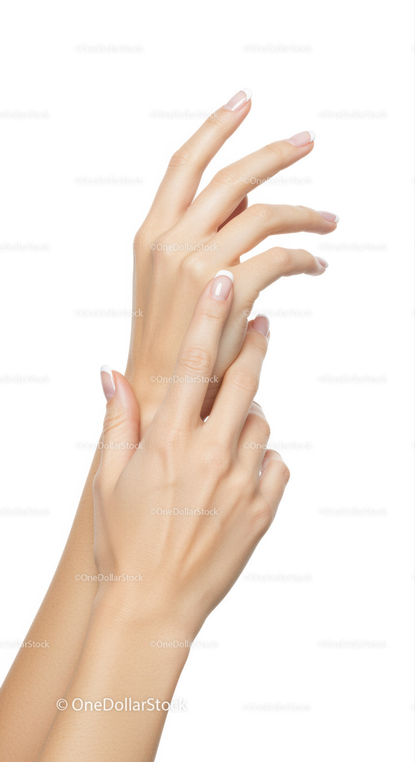 Gentle female hands with French manicure on white background