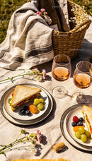 Casual Outdoor Picnic with Sandwiches and Rosé Wine