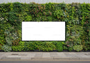 Urban vertical garden with blank advertising billboard