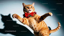 Ginger cat wearing festive bow tie playing indoors