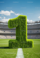 Green Grass Number One on Soccer Stadium Field