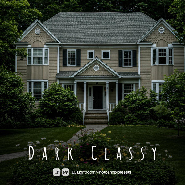 Dark Classy Presets (10 XMP files)