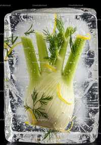 Fresh fennel bulb with lemon zest frozen in ice block
