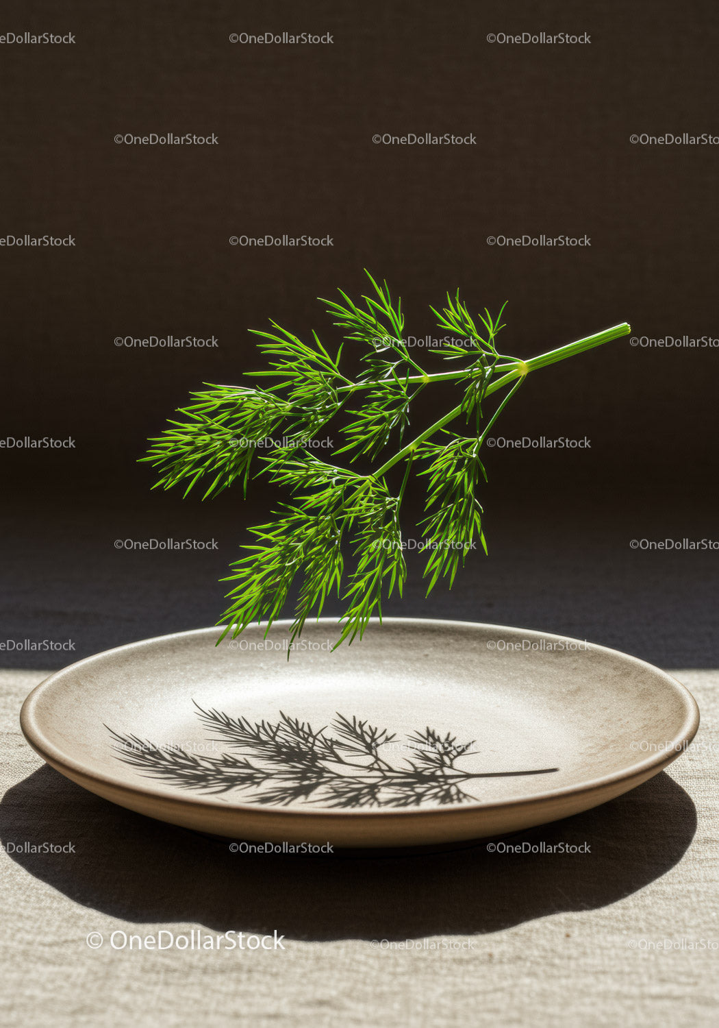 Fresh dill sprig casting shadow on beige plate