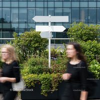 Blank White Direction Sign in Urban Greenery with Pedestrians