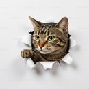 Tabby cat peeking through torn white paper hole