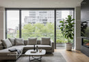 Bright Modern Living Room with Large Windows and Indoor Plant