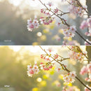 Before and after Spring Vibe LUT Pack effect